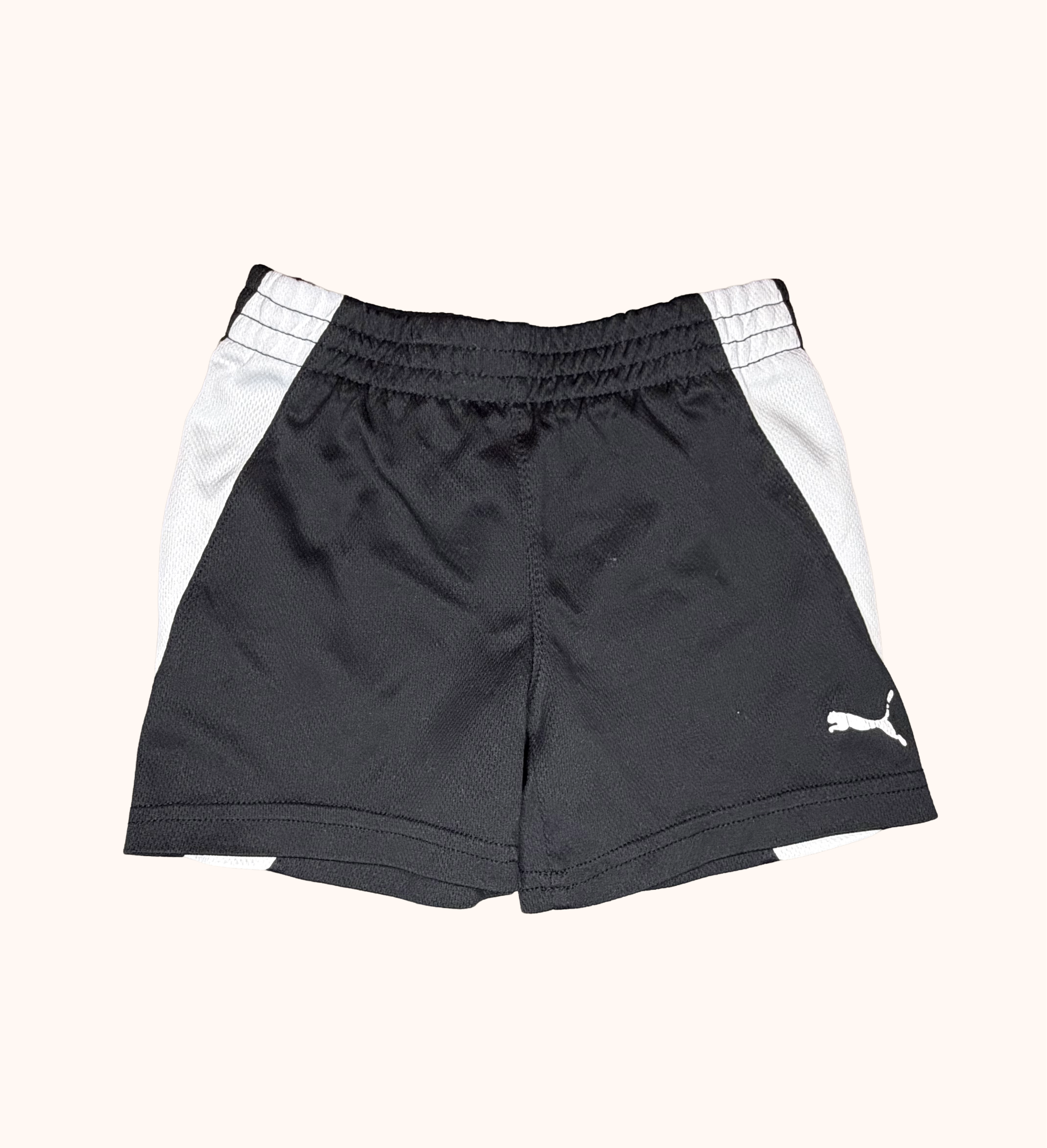 Puma - 12M