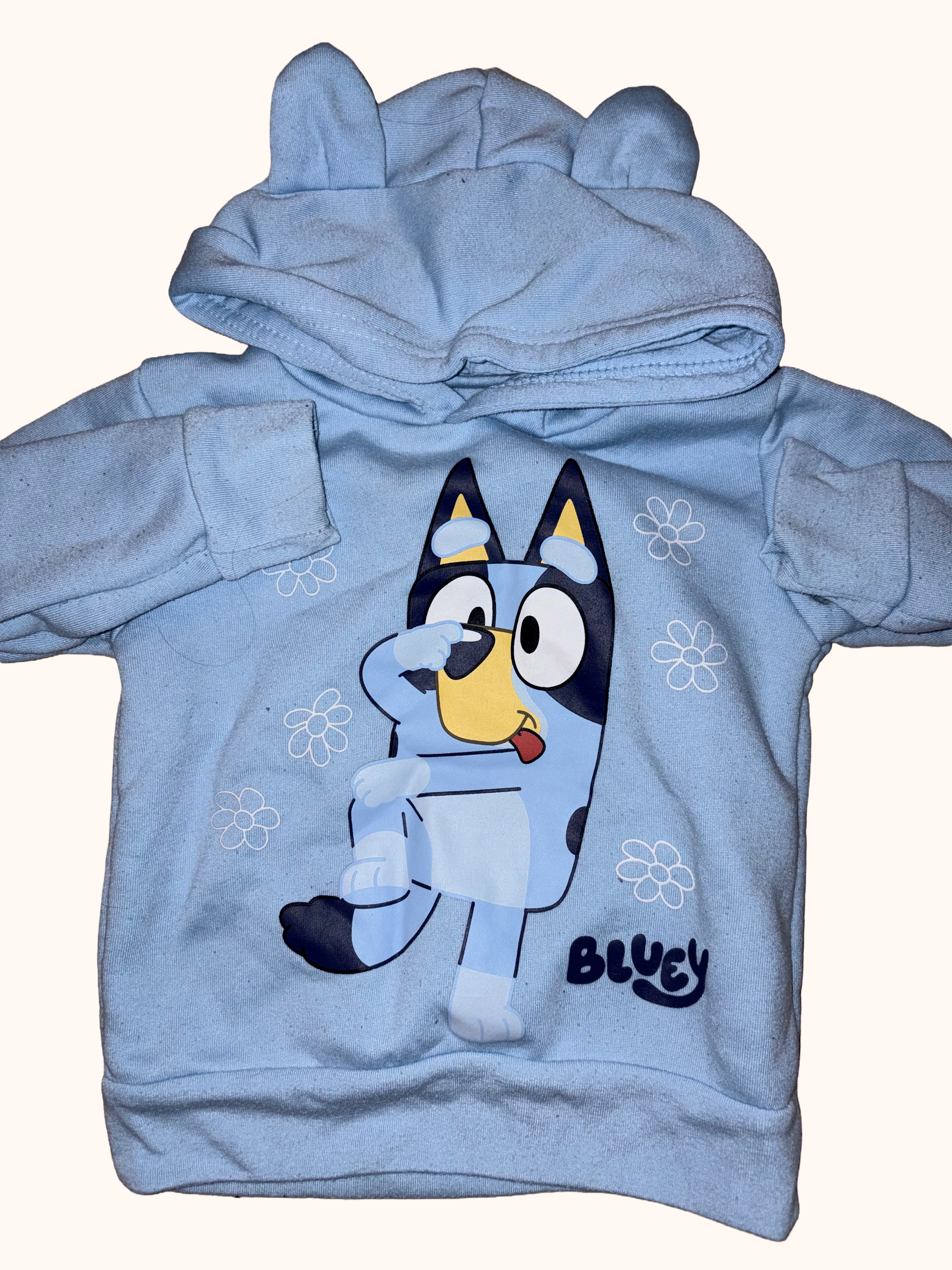 Bluey - 2/3T