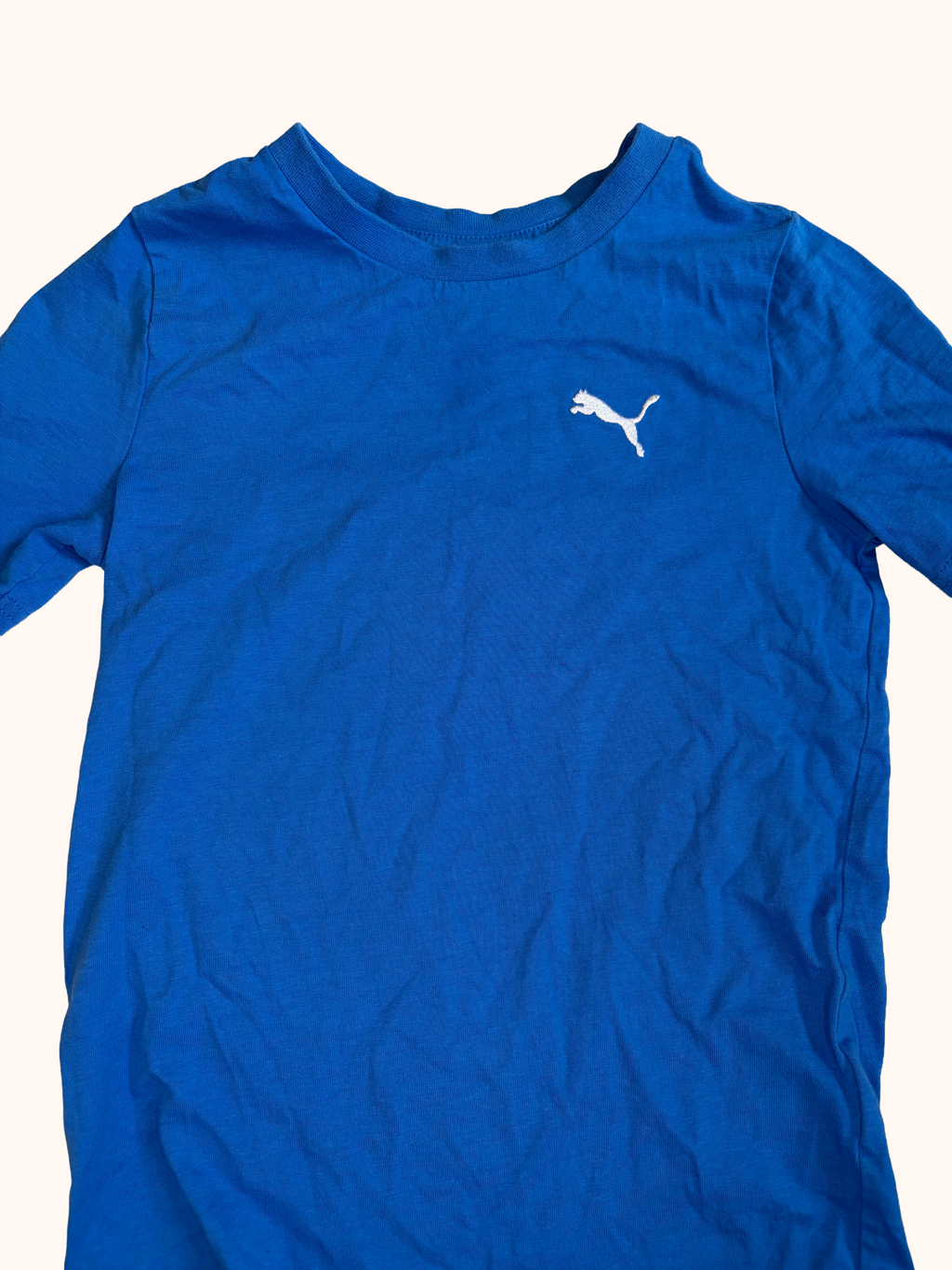 Puma-6T