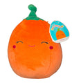 Paige pumpkin Squishmallow