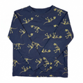 H&M - dinosaur long sleeve shirt - 6X