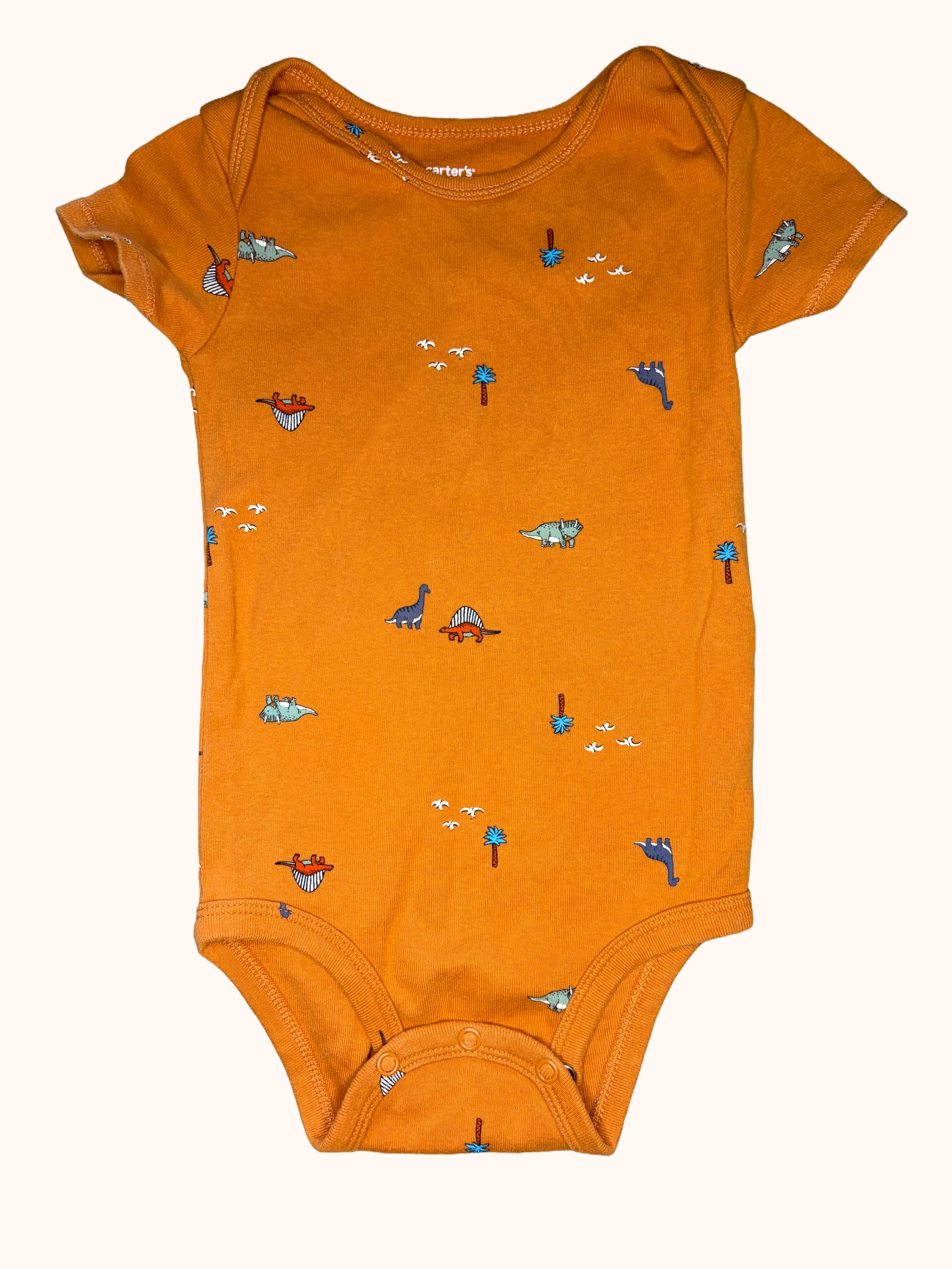 Carters-18M