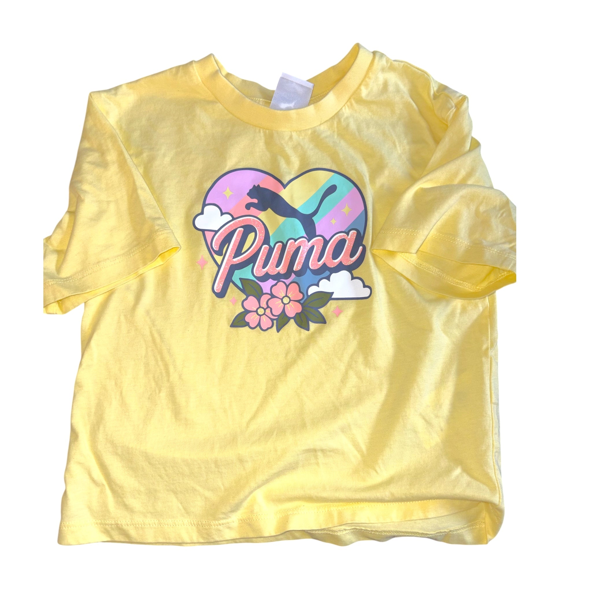 Puma - 6T