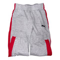 Puma - 4T