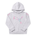 Puma - 2T